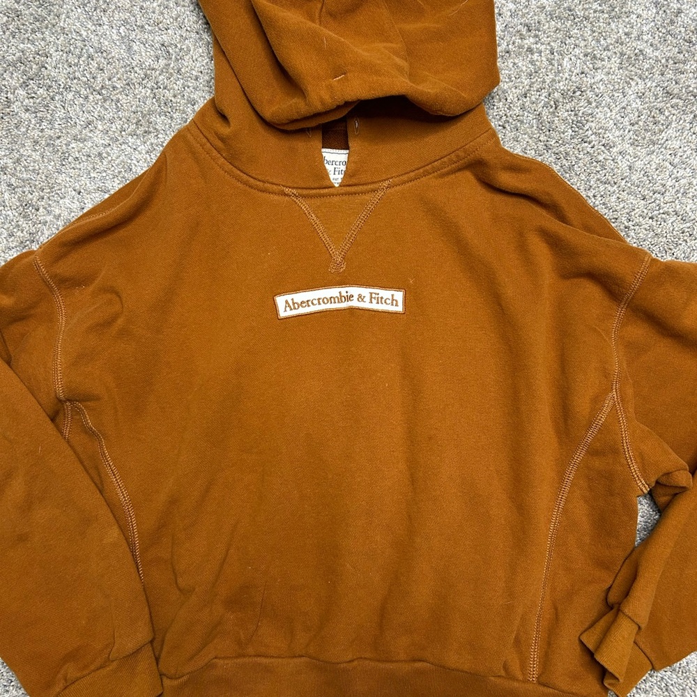 Abercrombie & Fitch Rust Brown Logo Hoodie | Size Medium